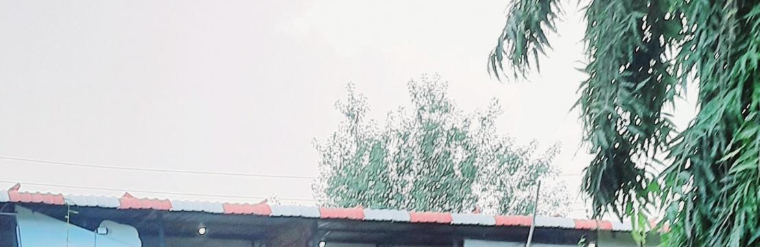 Pradip Ghule