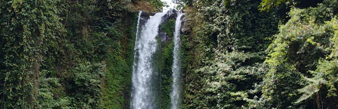 Nyoman Sudiarta