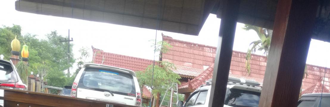 Annisa Fitri