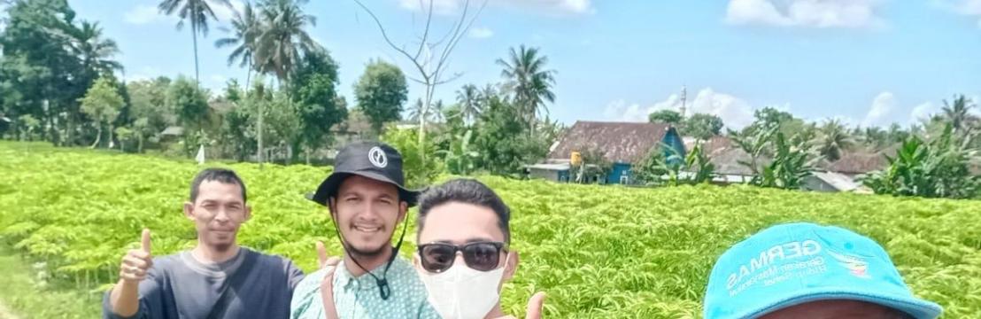 Samsir Hazairin
