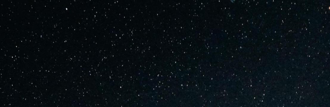 Pinomics Midnight