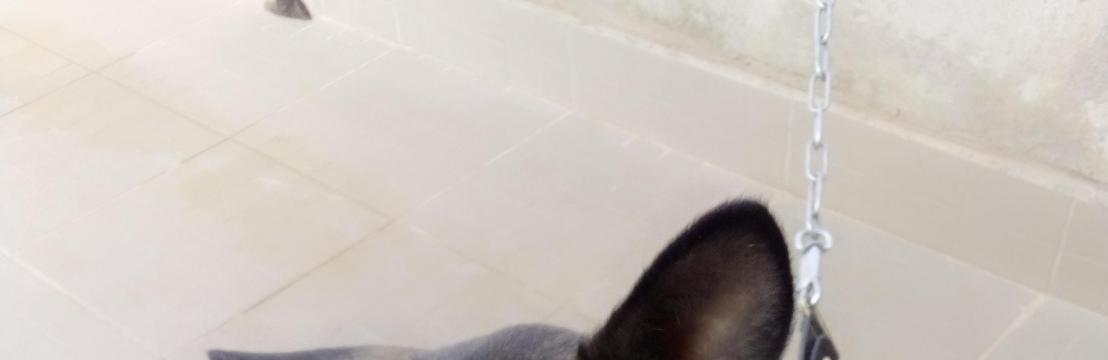 Sawadogo  Serge Gildas wendyam 