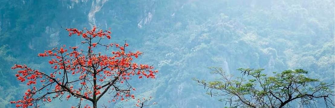 Hello  Viet Nam 🇻🇳🇻🇳🇻🇳