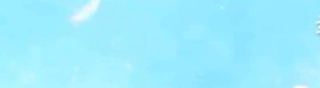 Huyen Vt1984