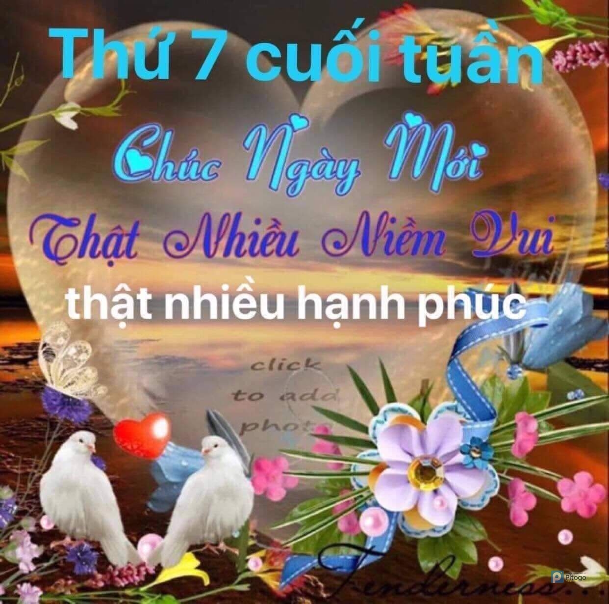 Ngọc Điệp Trần